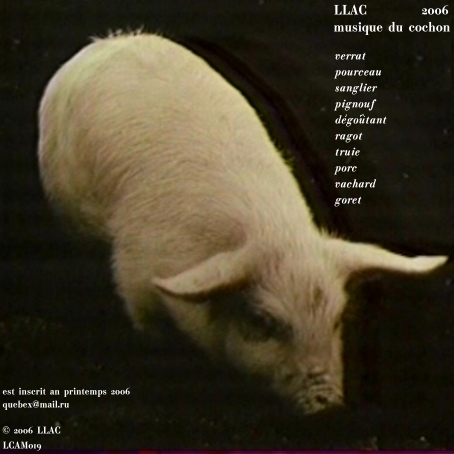 musique du cochon
